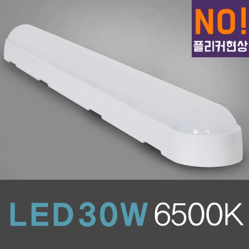 LED 일자등 30W [6500K]