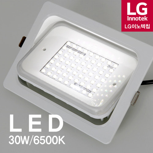 LED 매입 투광기 30W FU (화이트)