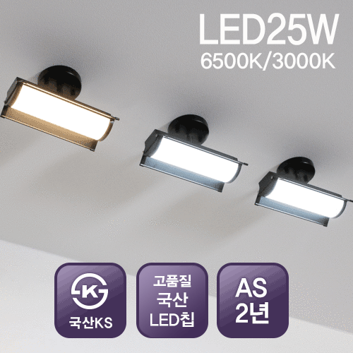LED 레이스웨이 투광기 직부등 (블랙)