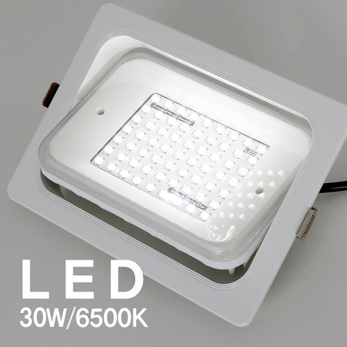 LED 매입 투광기 30W FU